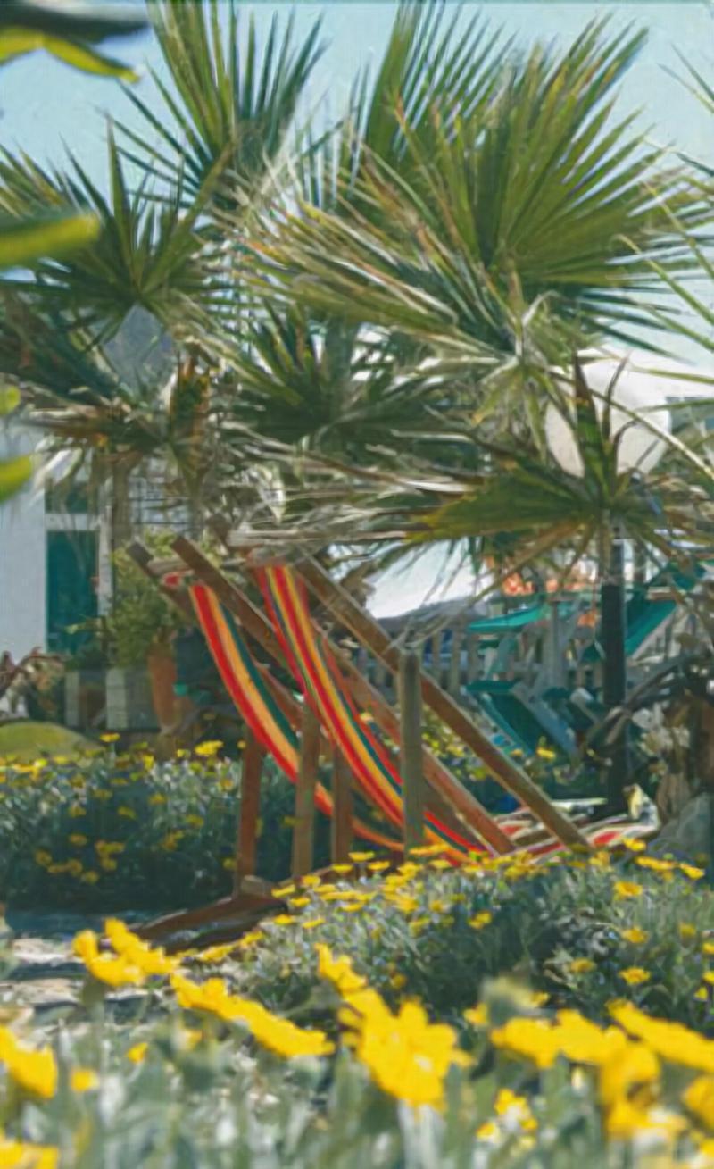 Hotel Esperia Piombino Extérieur photo